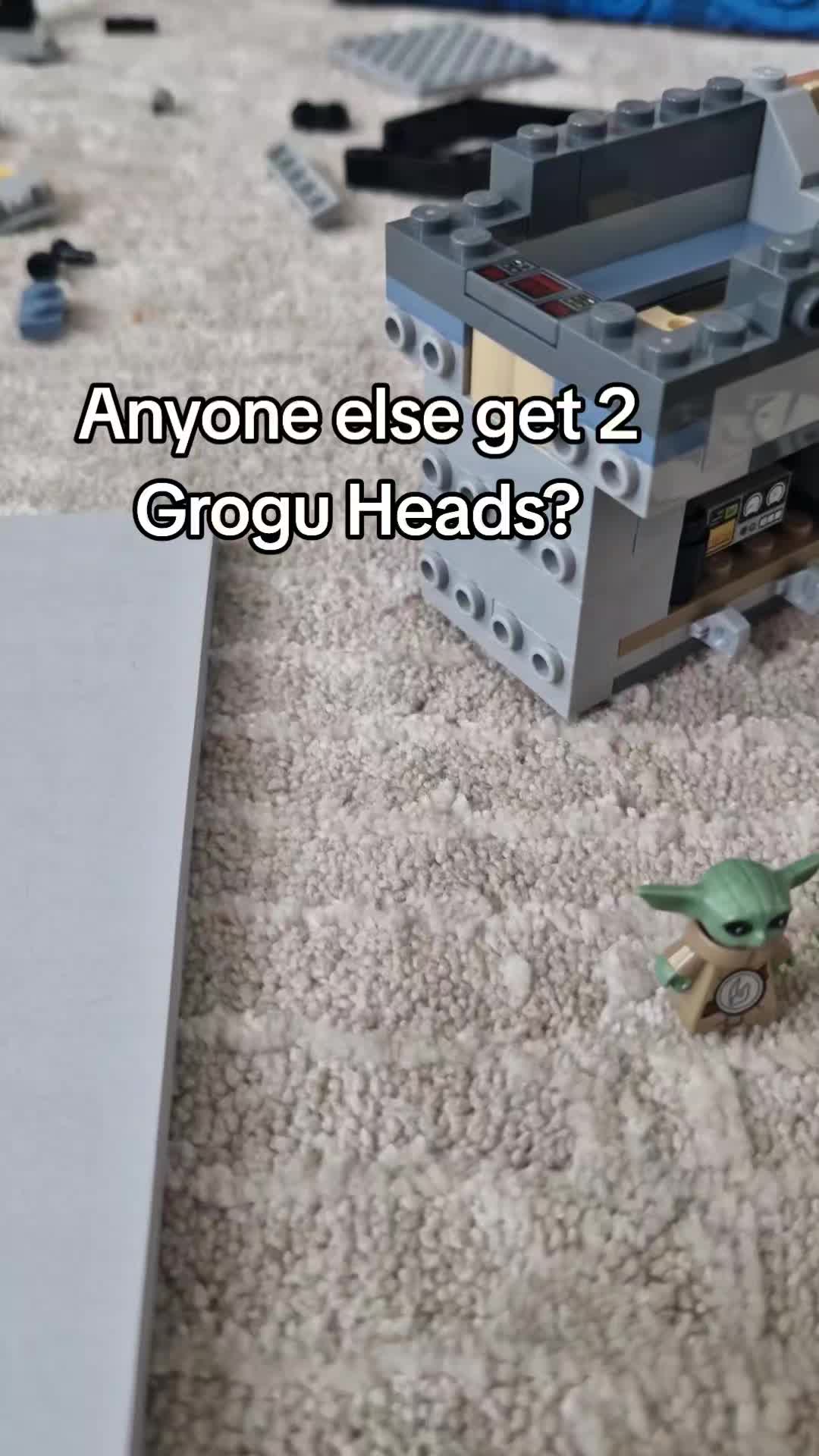 @Ginger_Biscuit65
