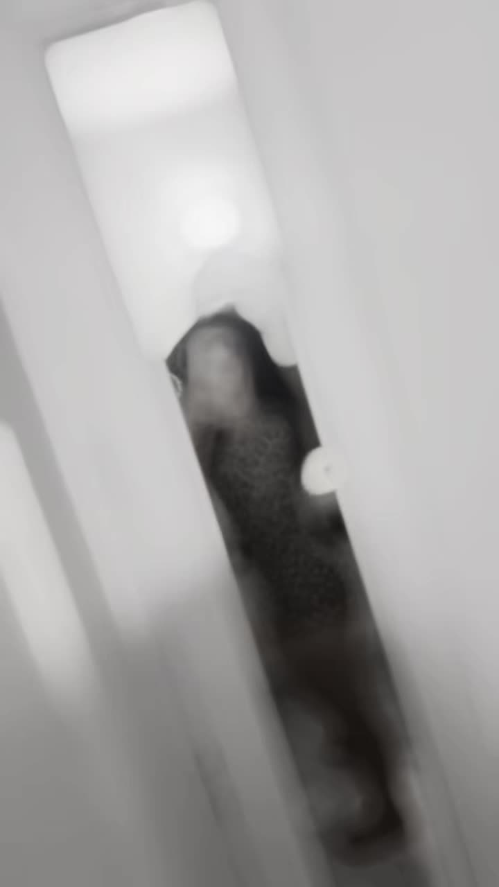 @🖤Bianca🖤