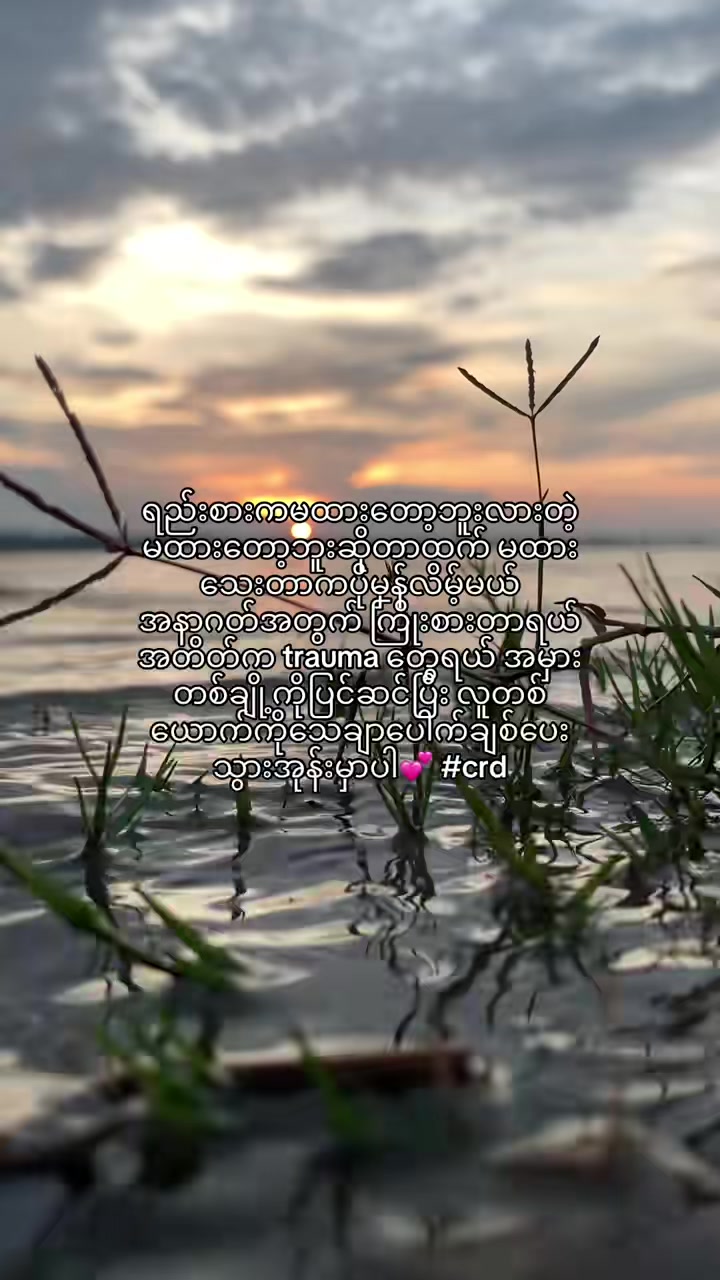 @Sᴜᴢᴜᴋɪ ✘⚡