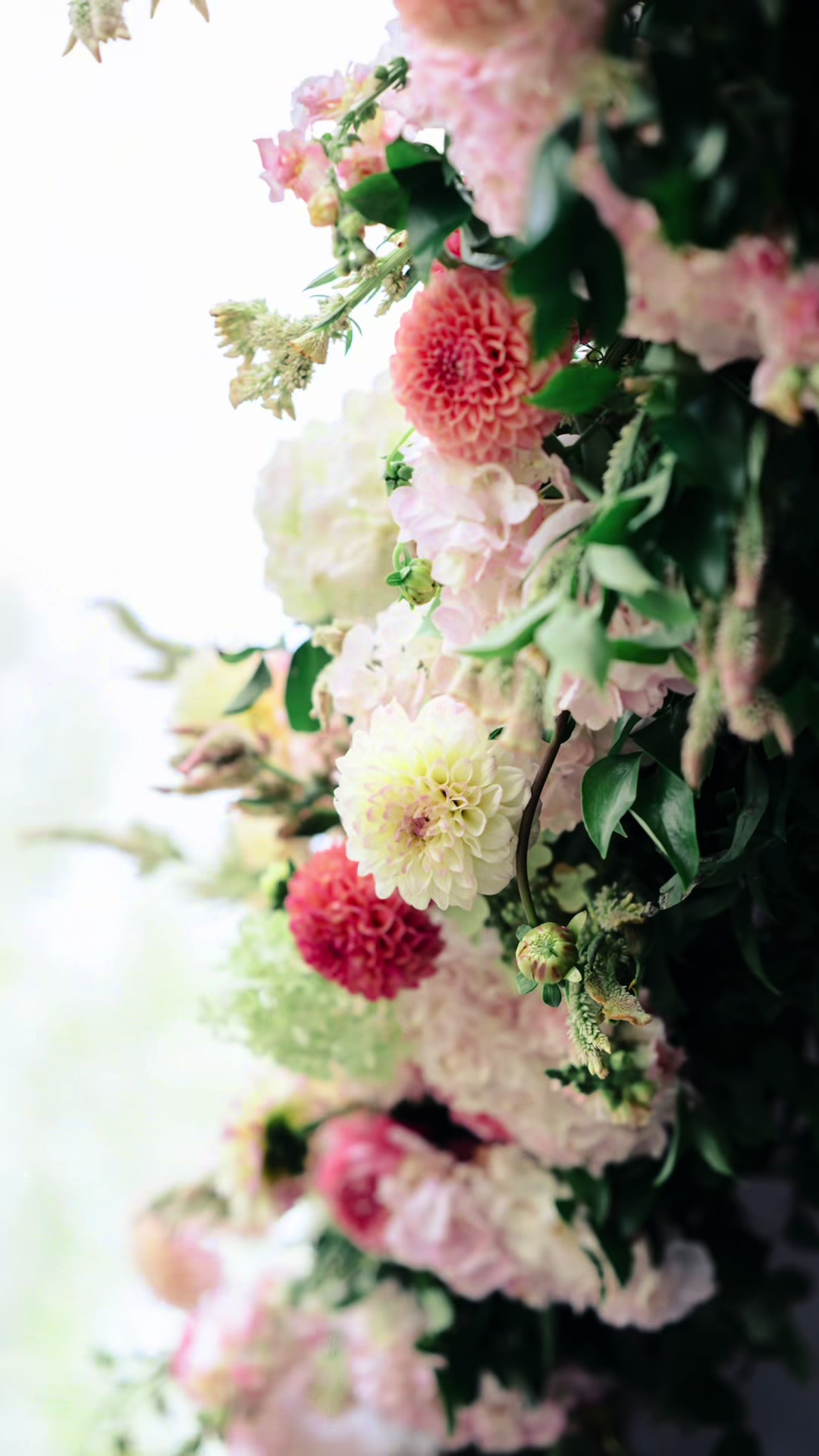 @Foxtails Photography