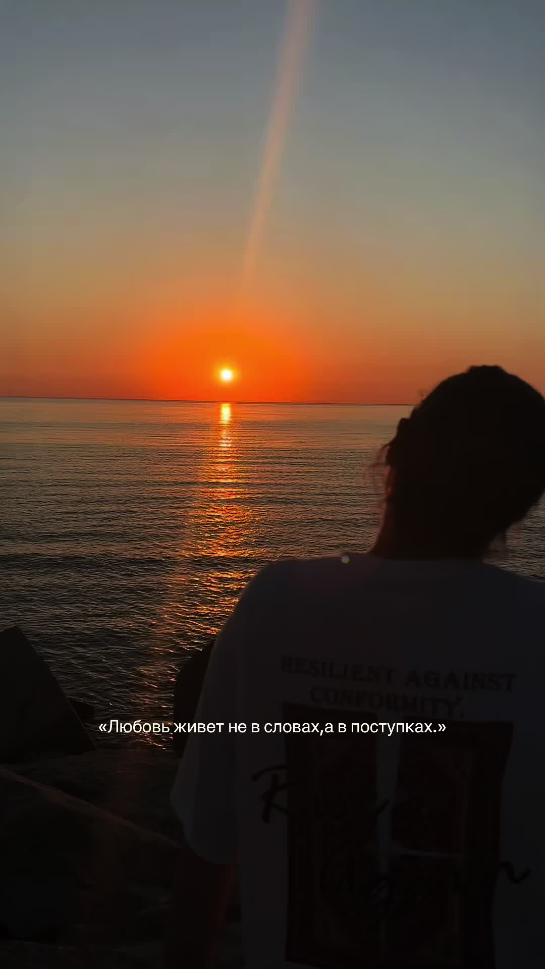 @Movludovna’