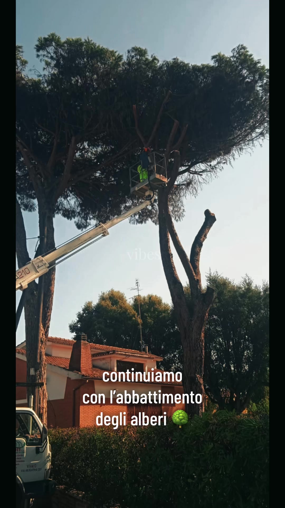@⚜️JejjeAndreOfficial⚜️