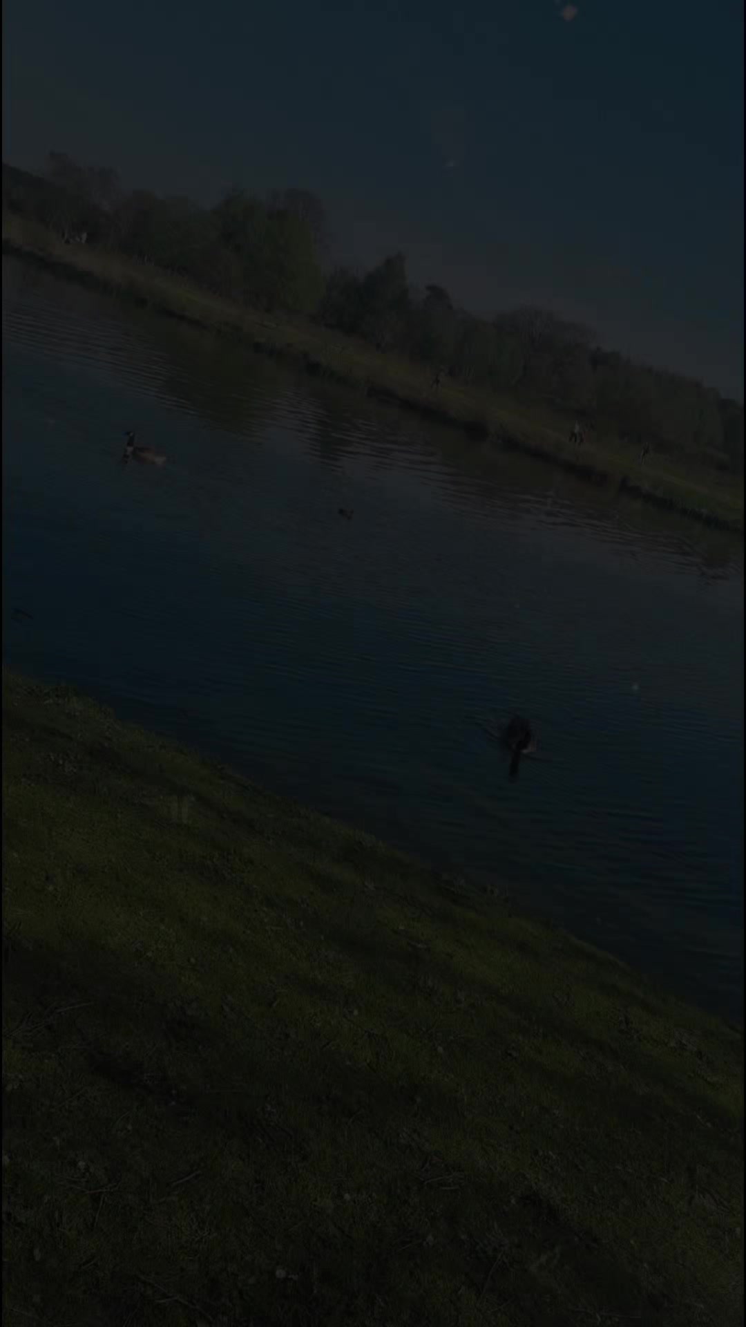 @☺️نقاء الروح