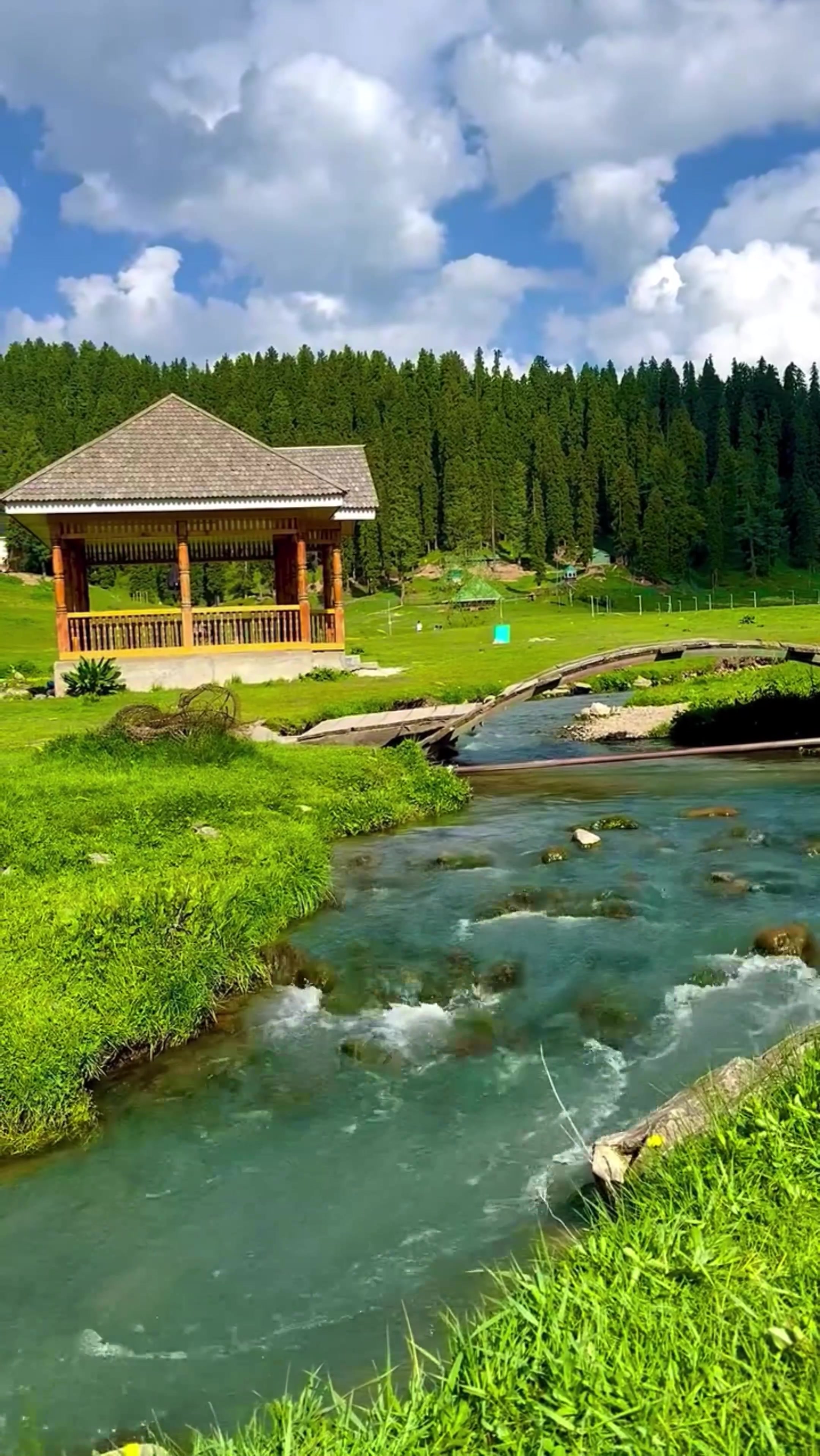 @World 🌍 beauty