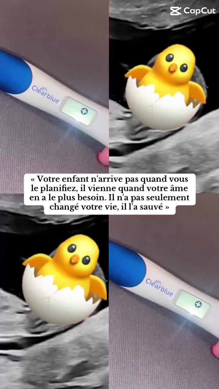 @✝️🦔𝒞𝒶.𝓌𝓉🦔✝️