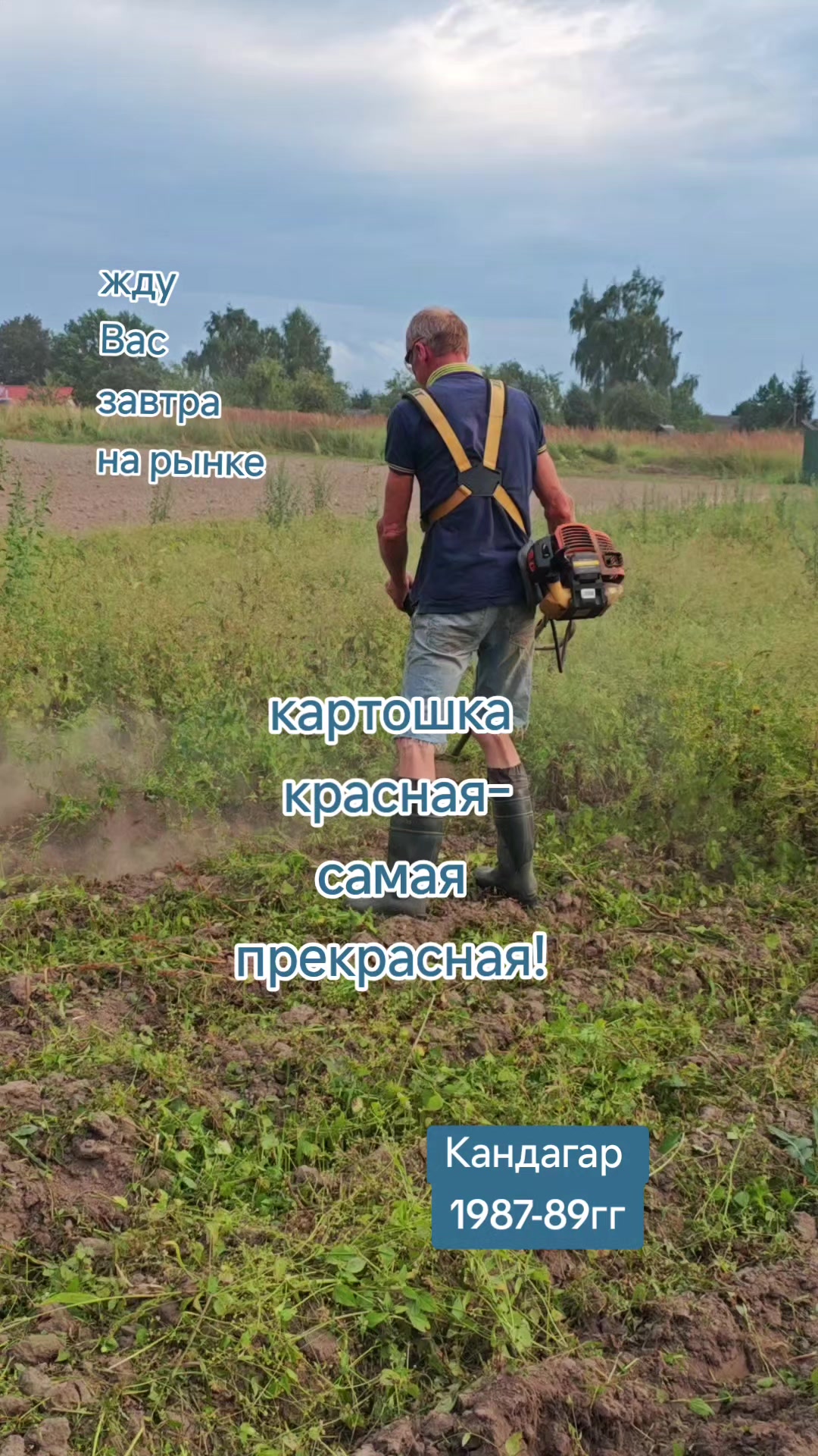 @Картофель Могилёв