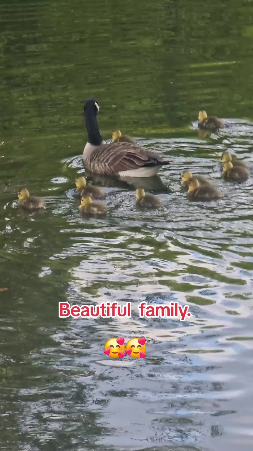 @ukmallu