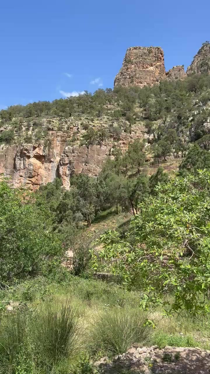 @yassinetmax