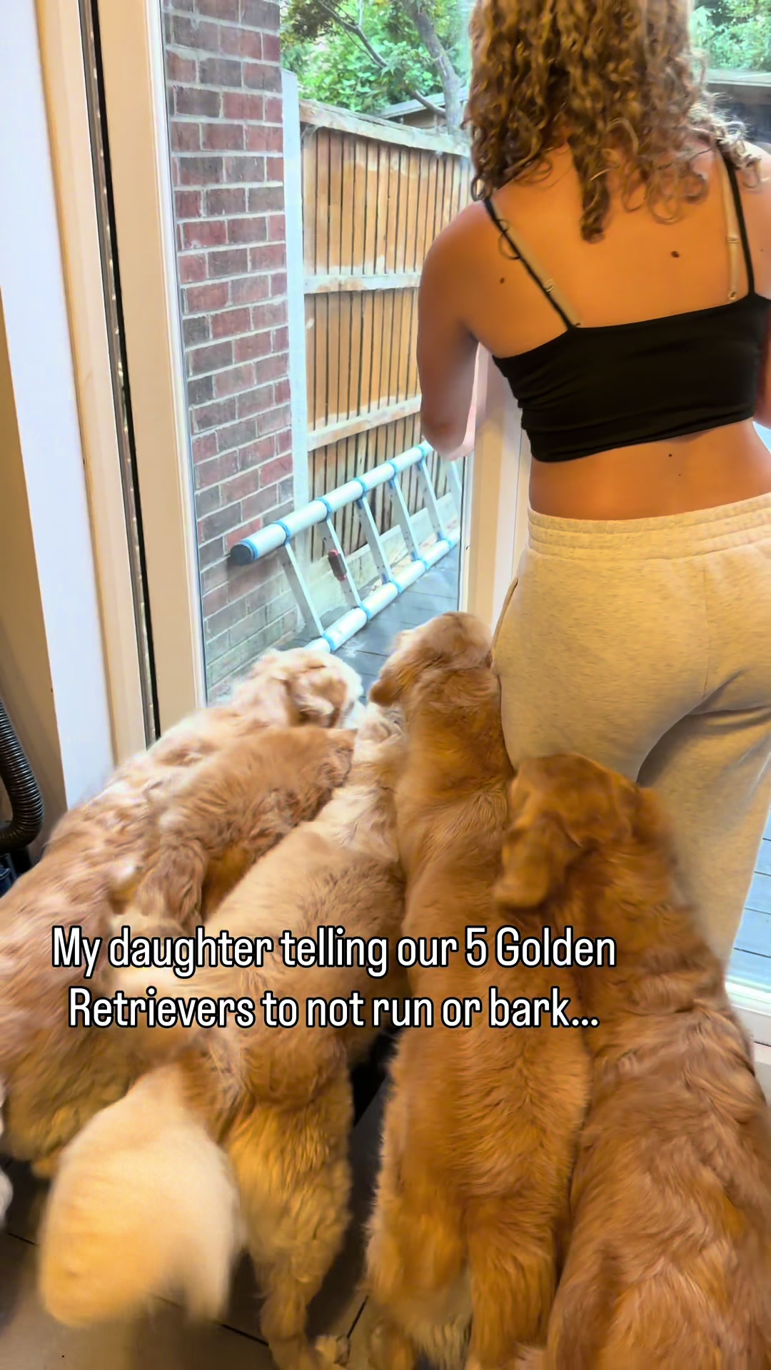 @5 Shades of Golden