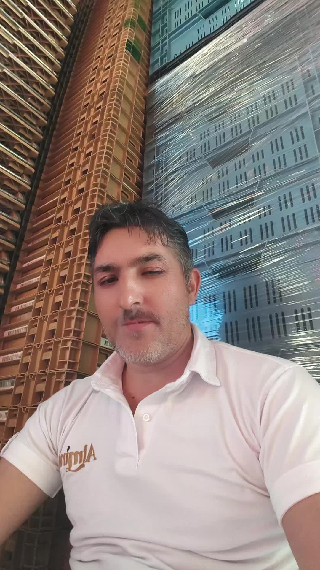 @Mustafa Salur