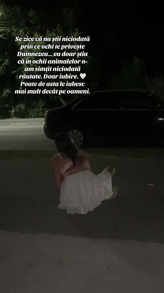 @Amalia Voicu
