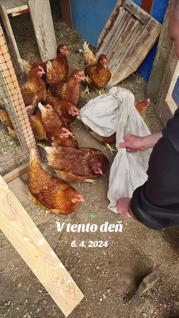 @BRANKO999