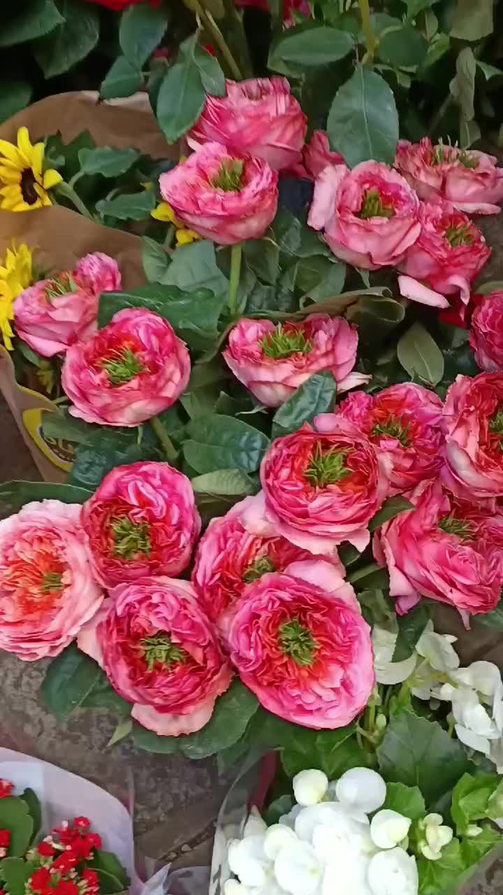 @Sigutukas