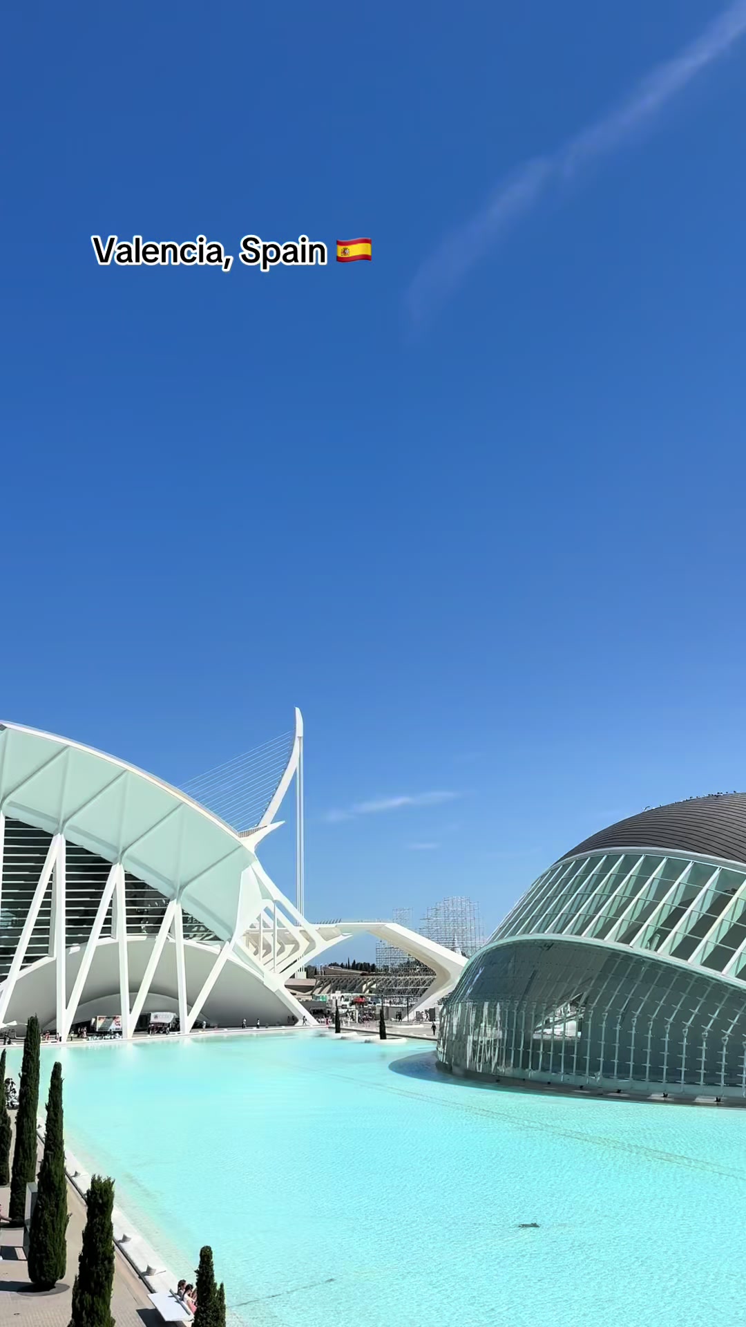 @yanokio