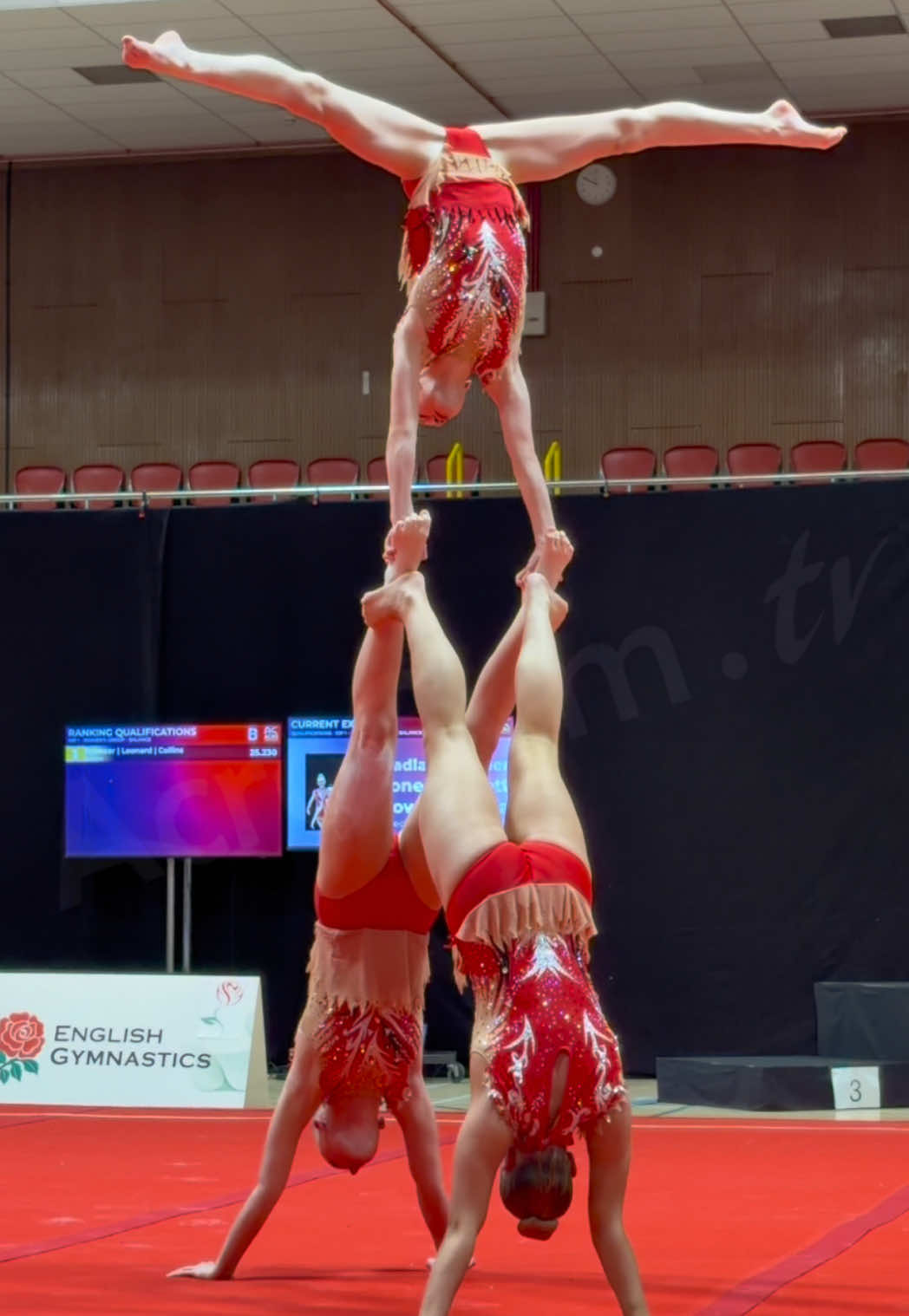 @acrogym.tv