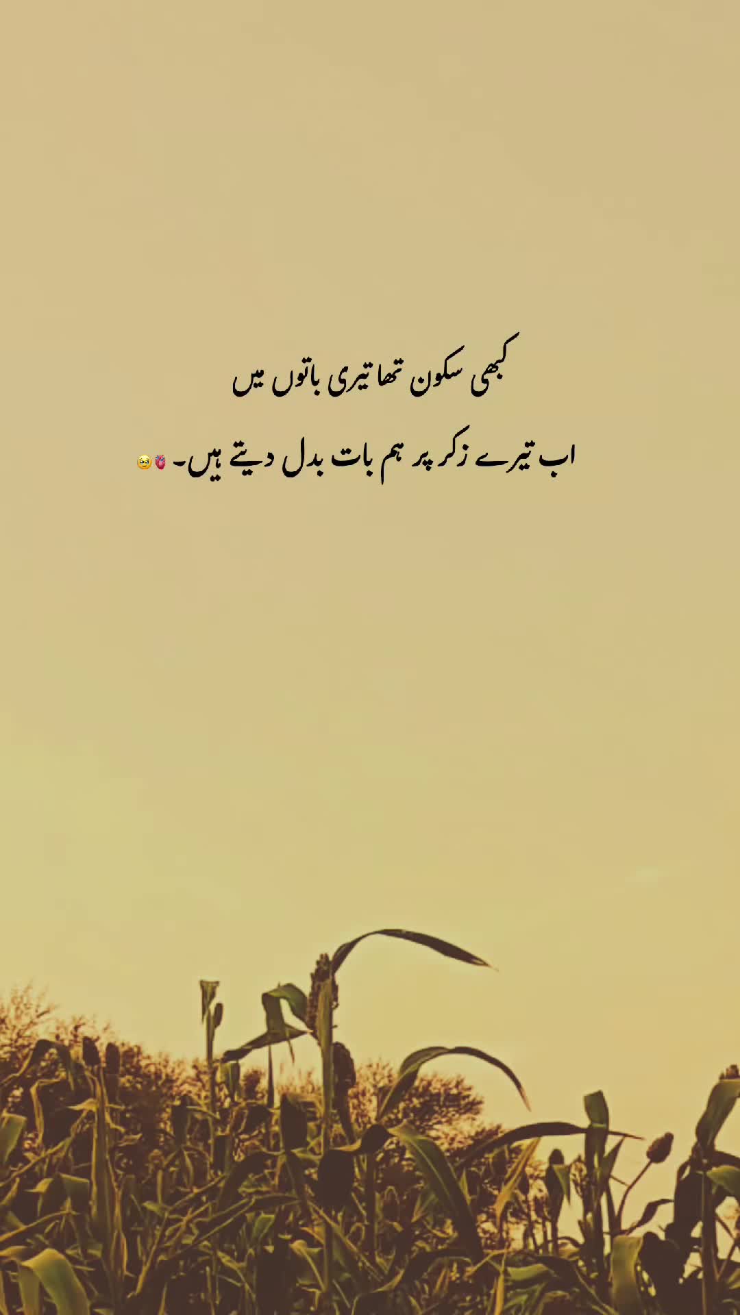 @𓆩♡𓆪