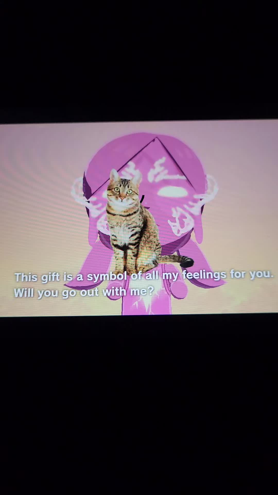 @Miraculous Raven