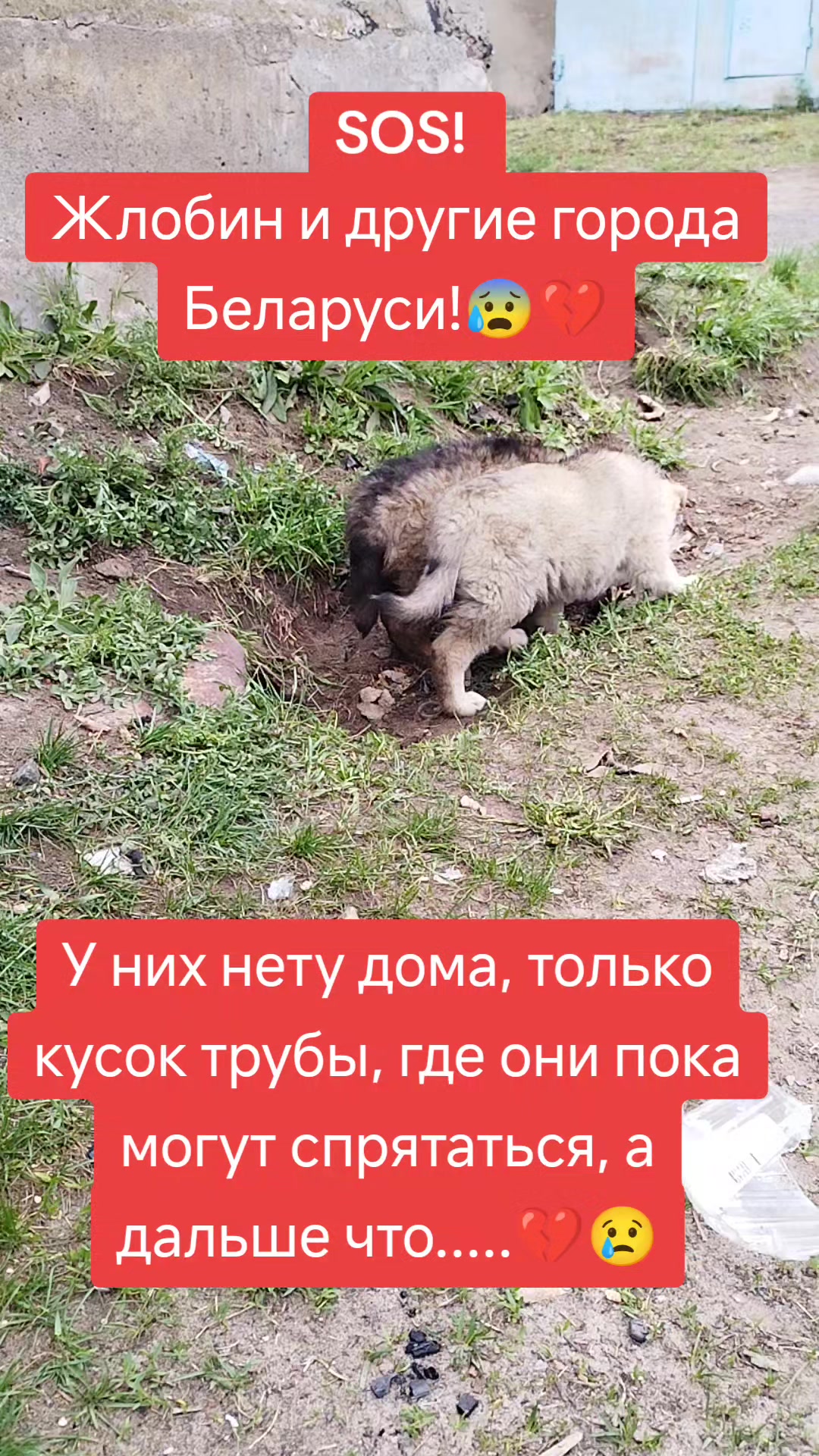 @Светлана Козлова