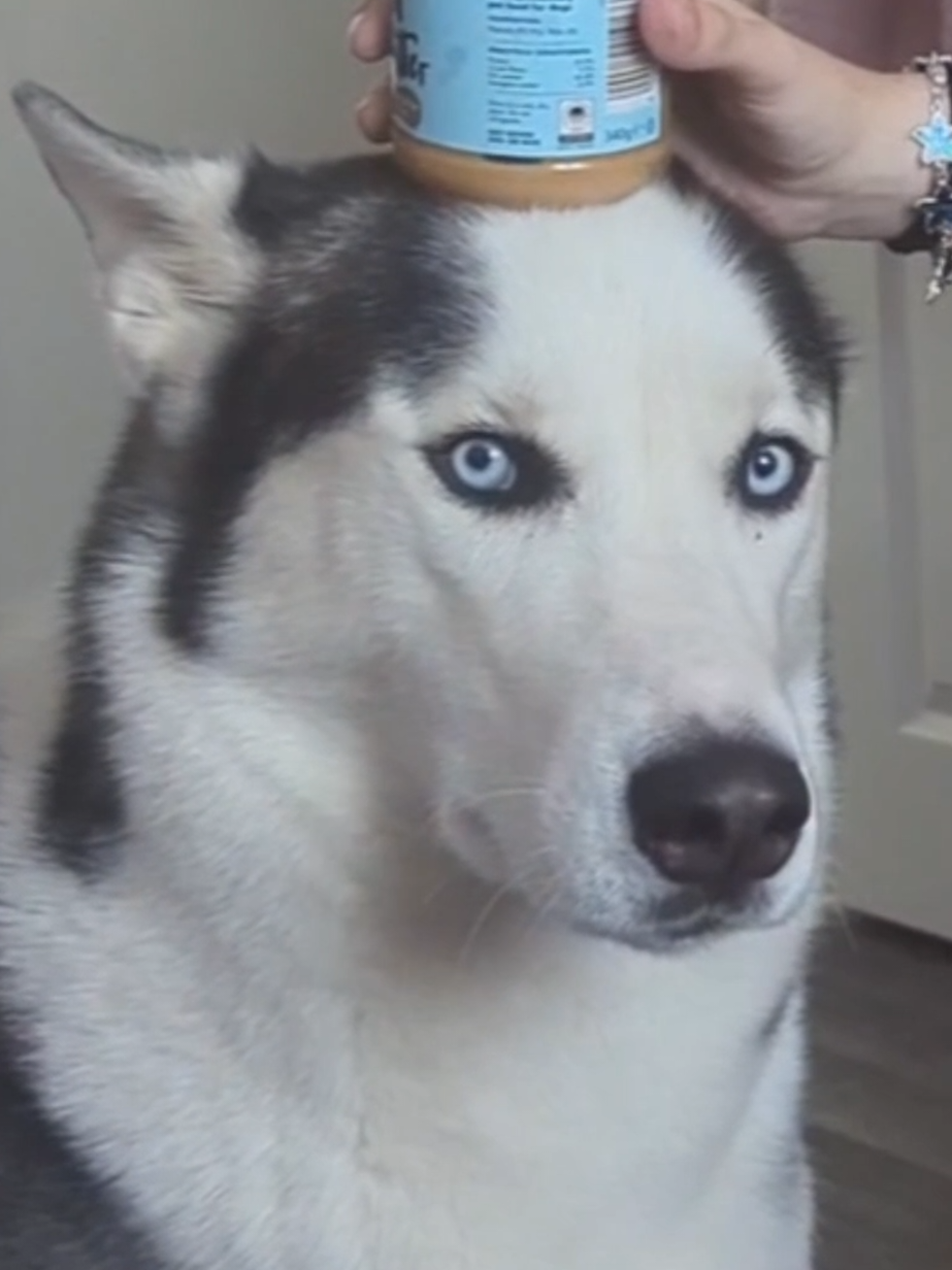 @Freya & Kuma