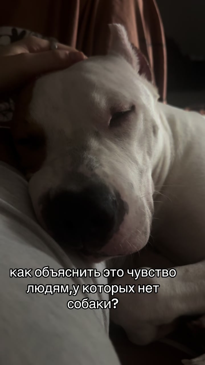 @ТГК- АСТ ГУФ