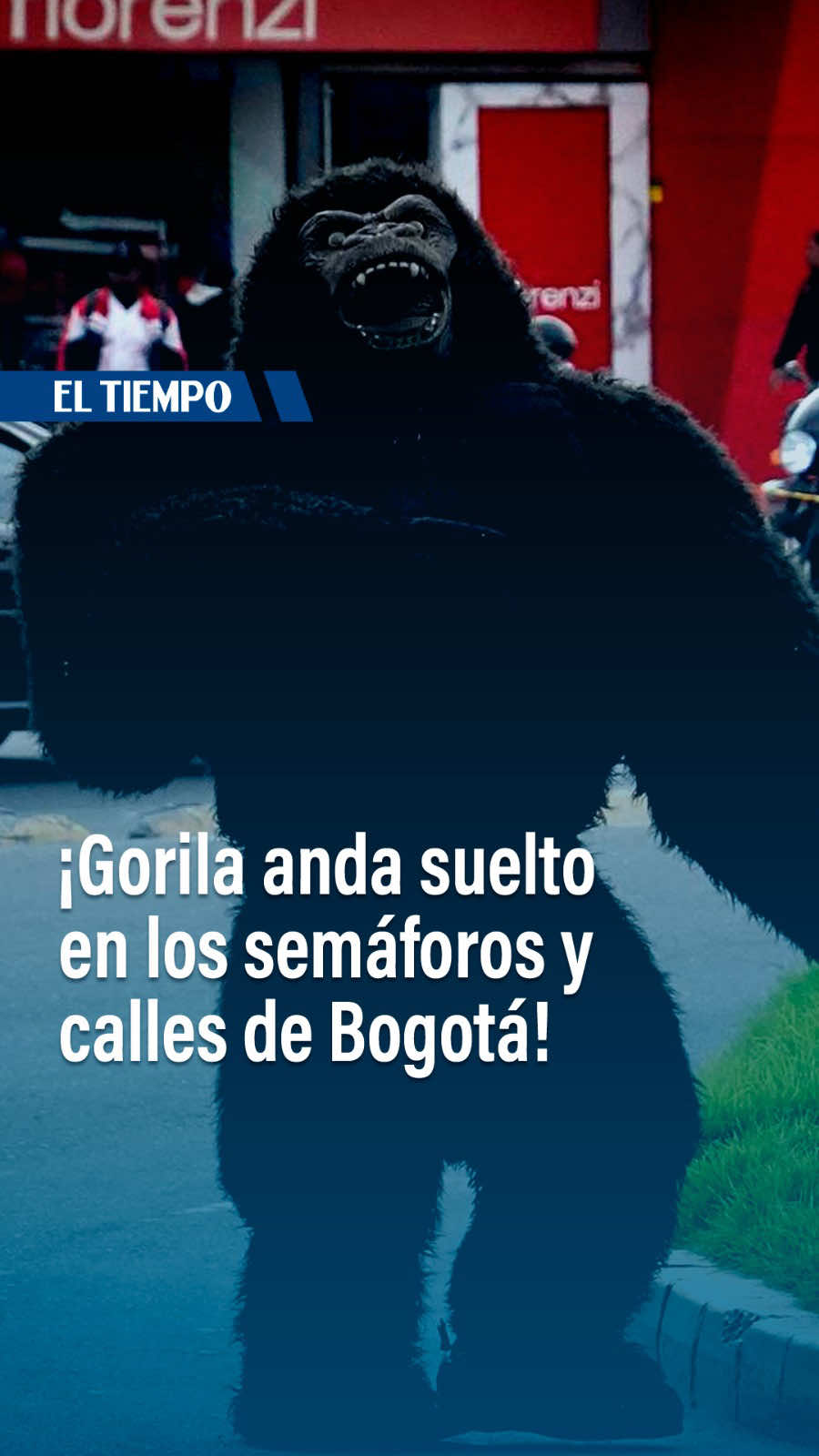 @EL TIEMPO