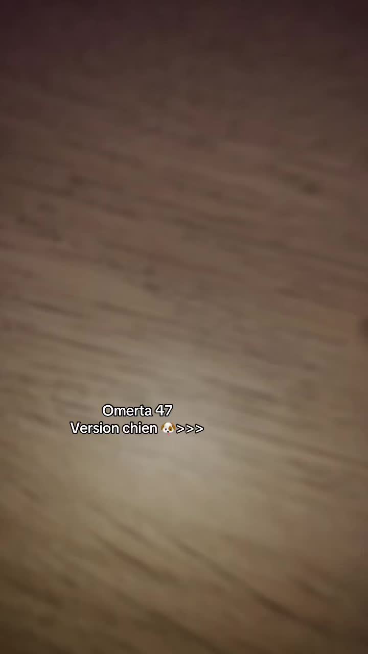 @snk.1k⌚️
