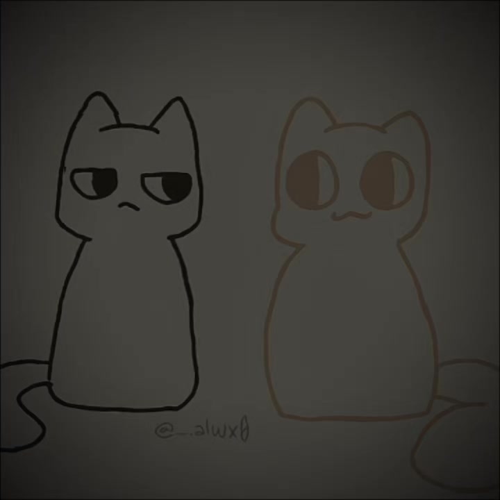 @Миднайт