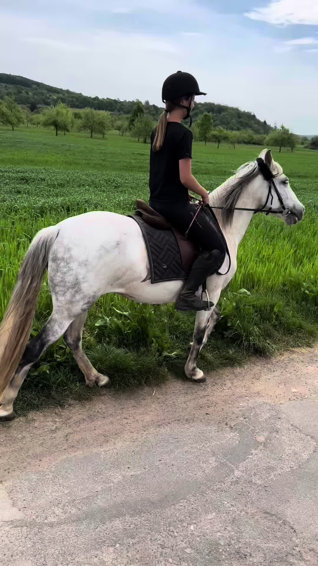 @leann.equest
