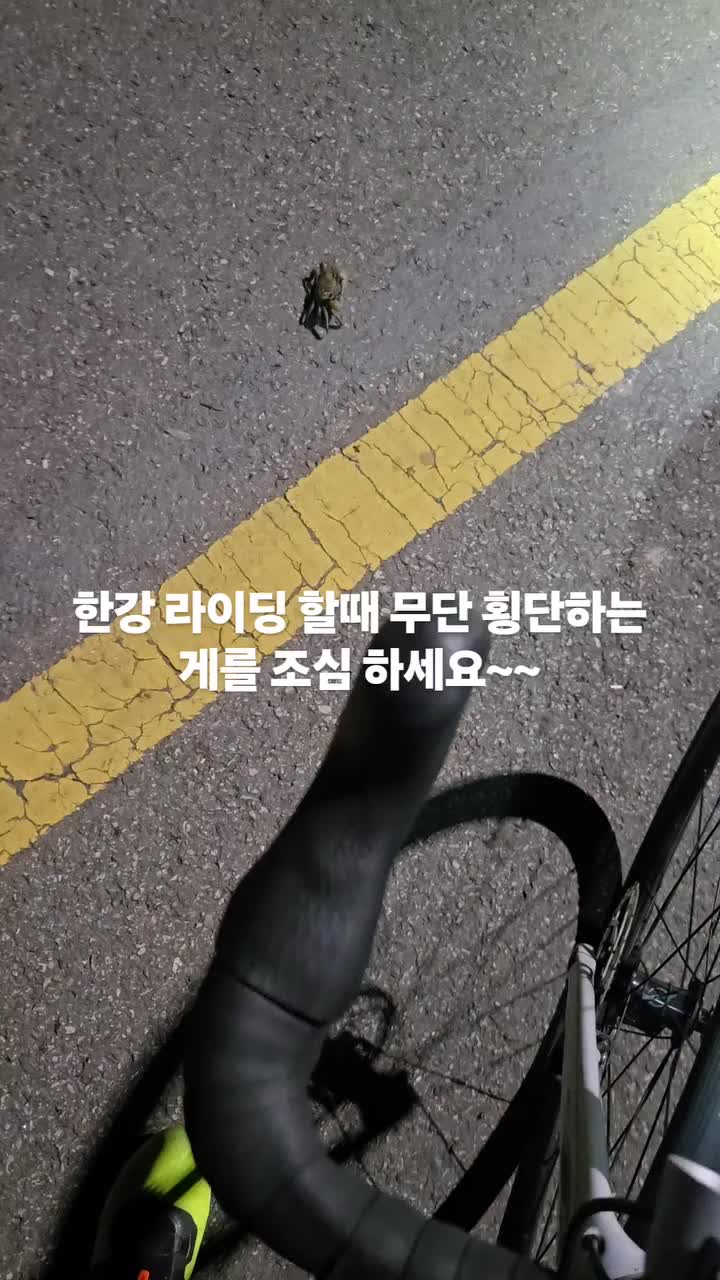 @문욜로