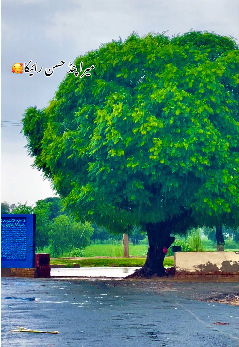 @احمد ہنجرا_بہاولنگر🥰