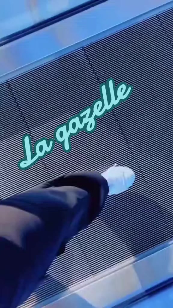 @Gazelle Eleulma