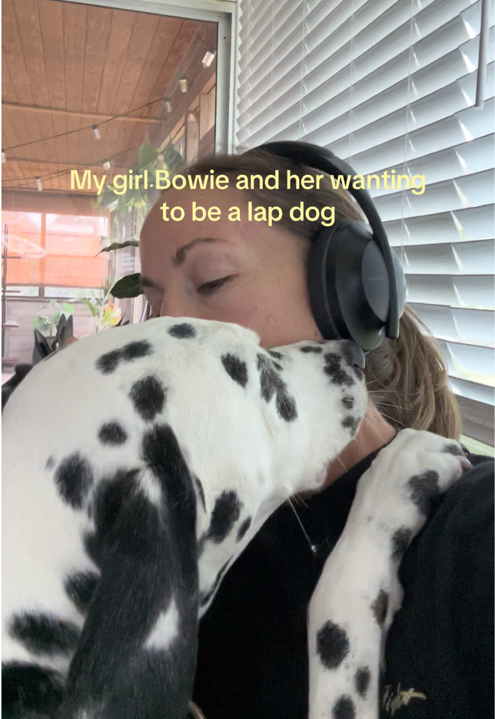 @katya