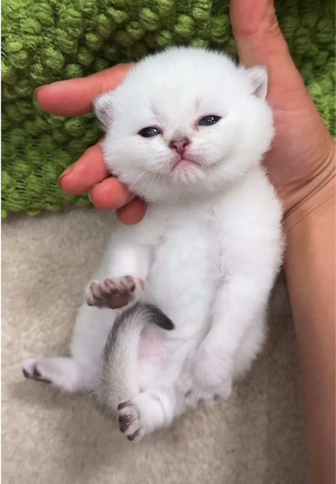 @ViralPick
