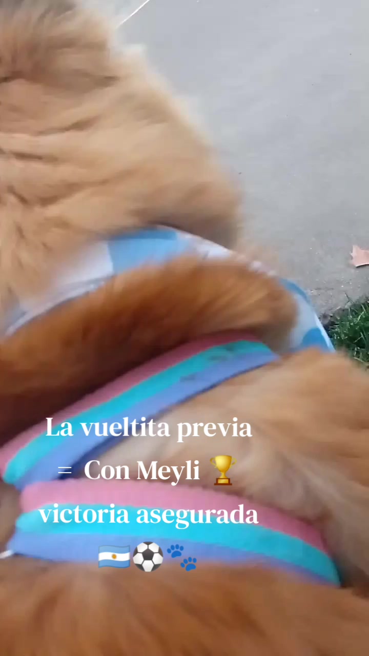 @Meyli Presiosita