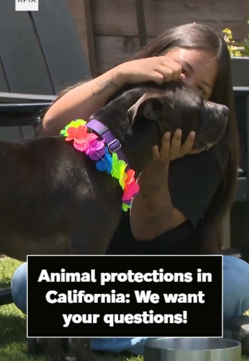 @KPIXTV