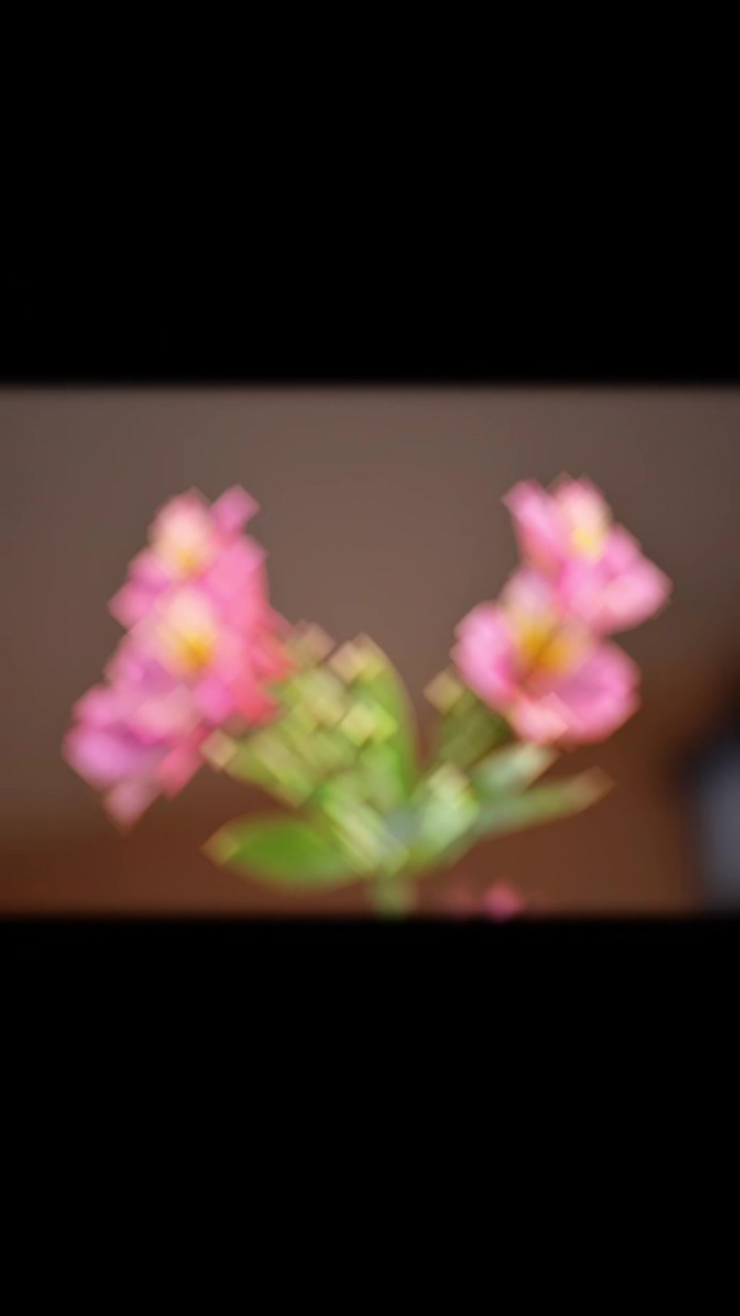 @havr-photo.picfair.com
