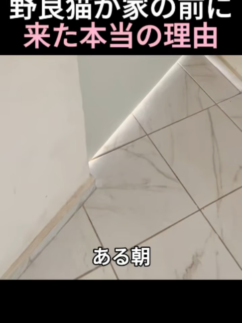 @5qpjptro