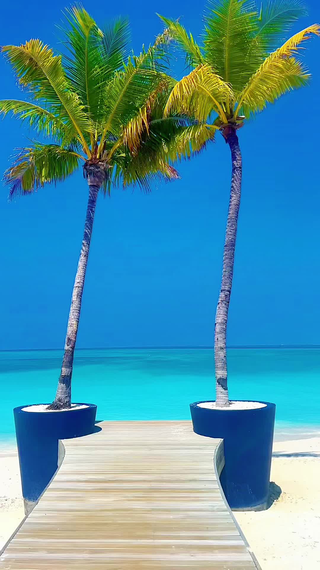 @LuxuryTravelAddict ๐๐