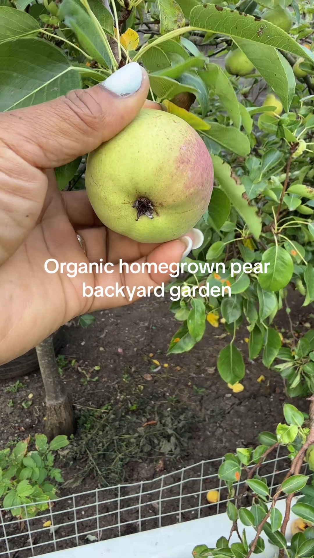 @Gardening 🧑&zwj;🌾