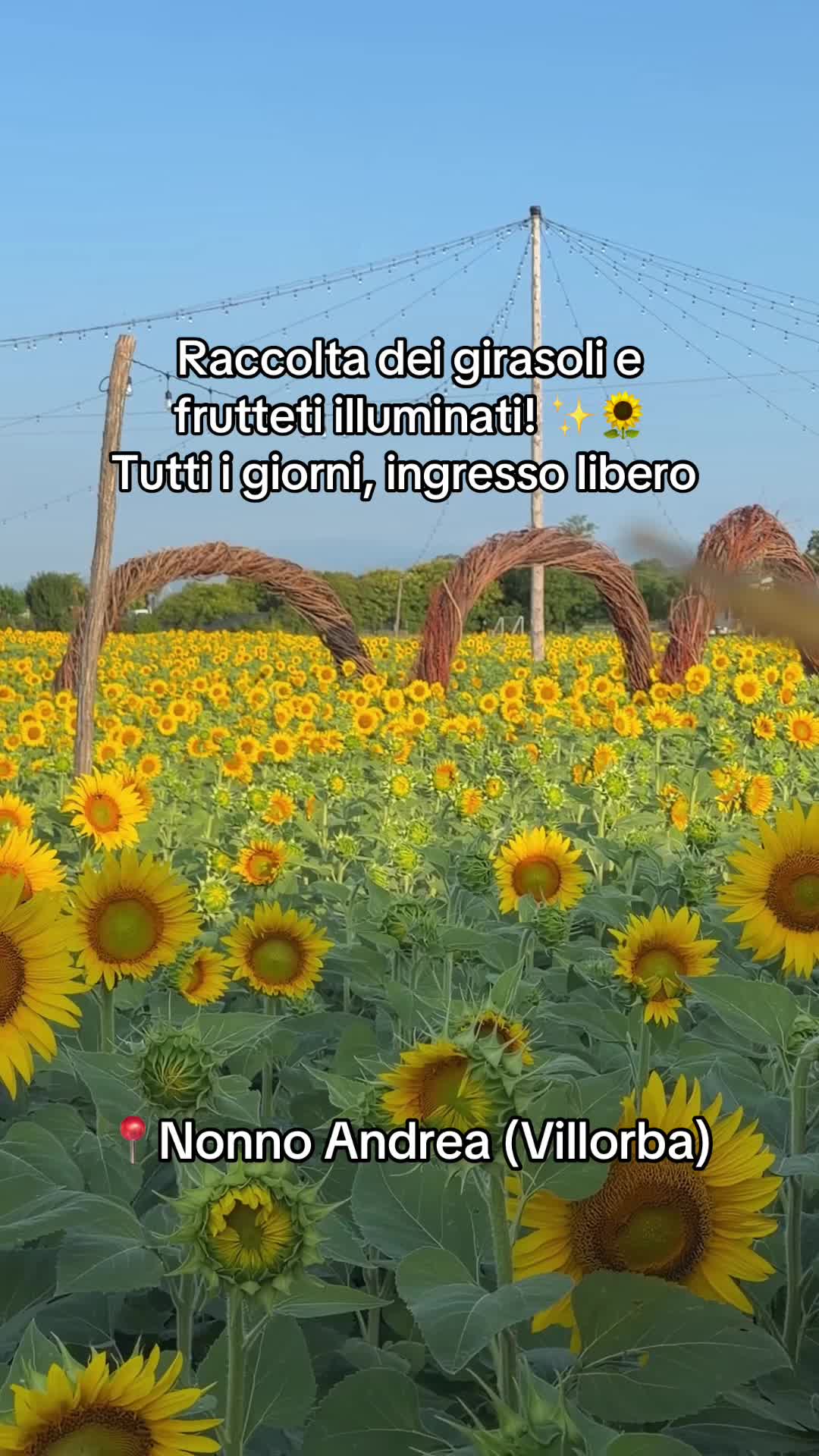 @Nonno Andrea