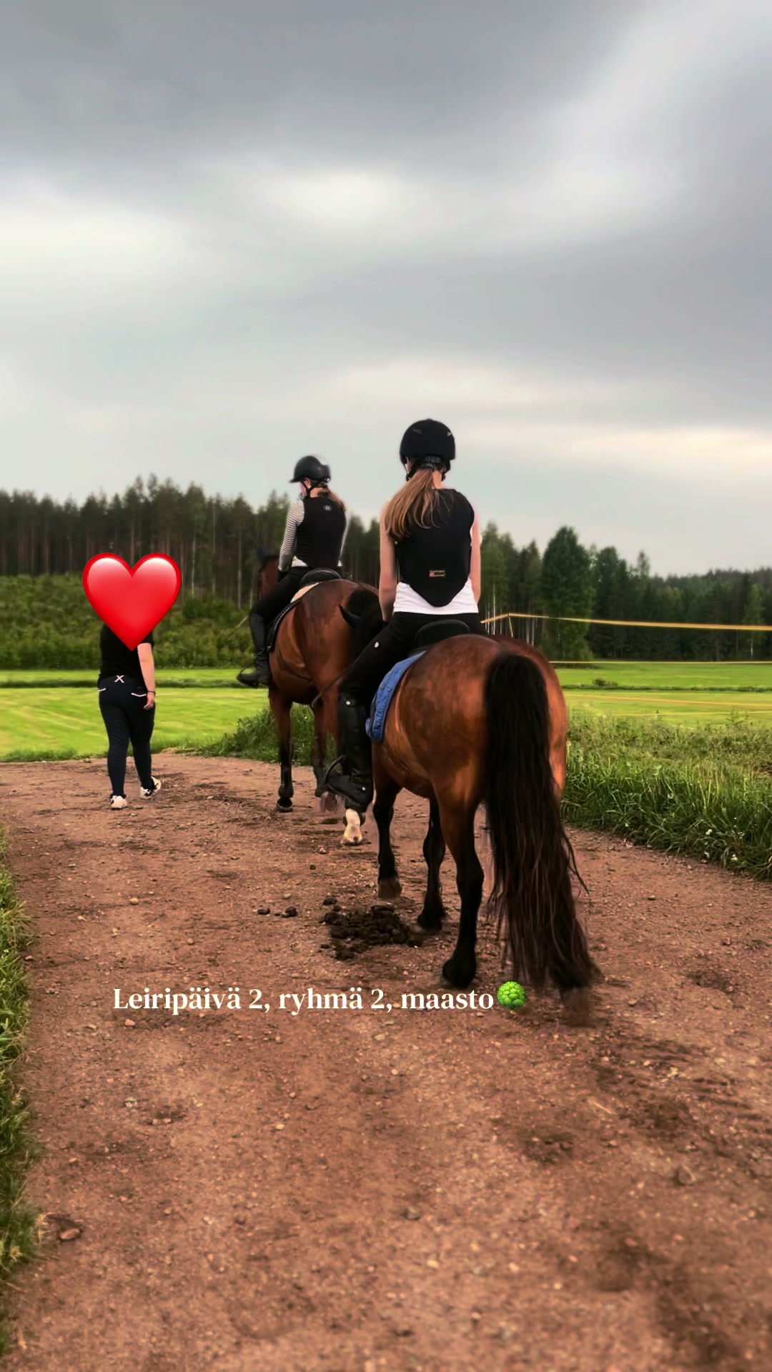 @Ponirannan talli🇫🇮🐎