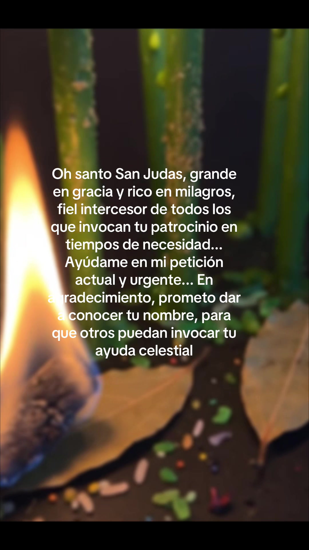 @En Las manos de San Judas