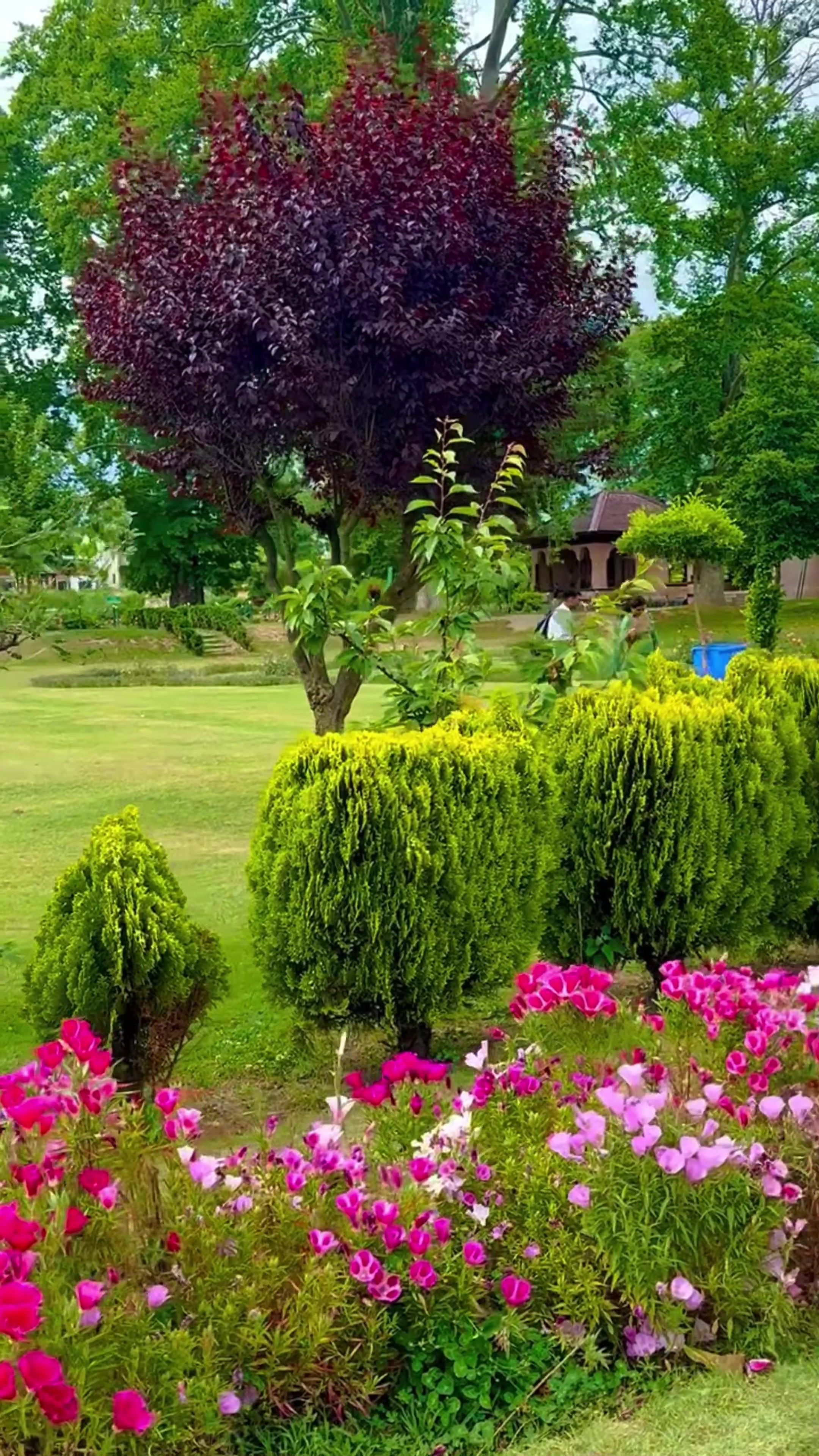 @World 🌍 beauty
