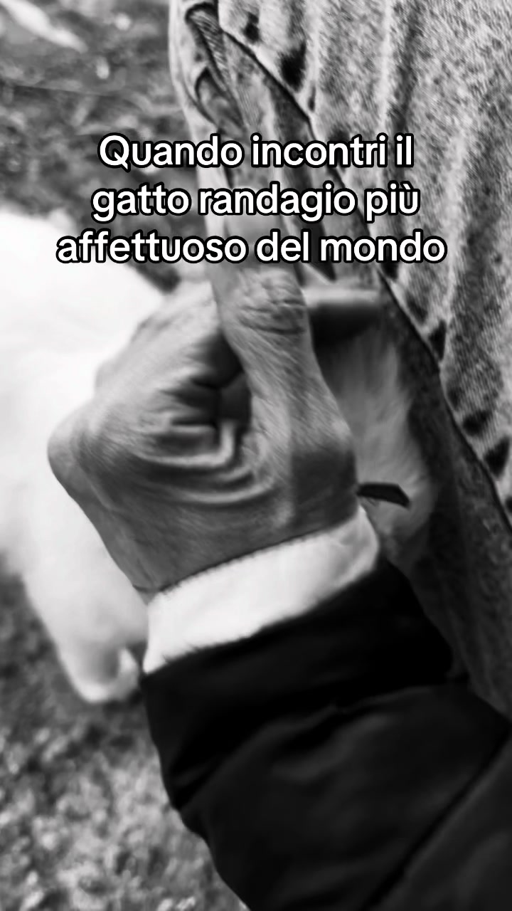 @Anna Maria Muratore