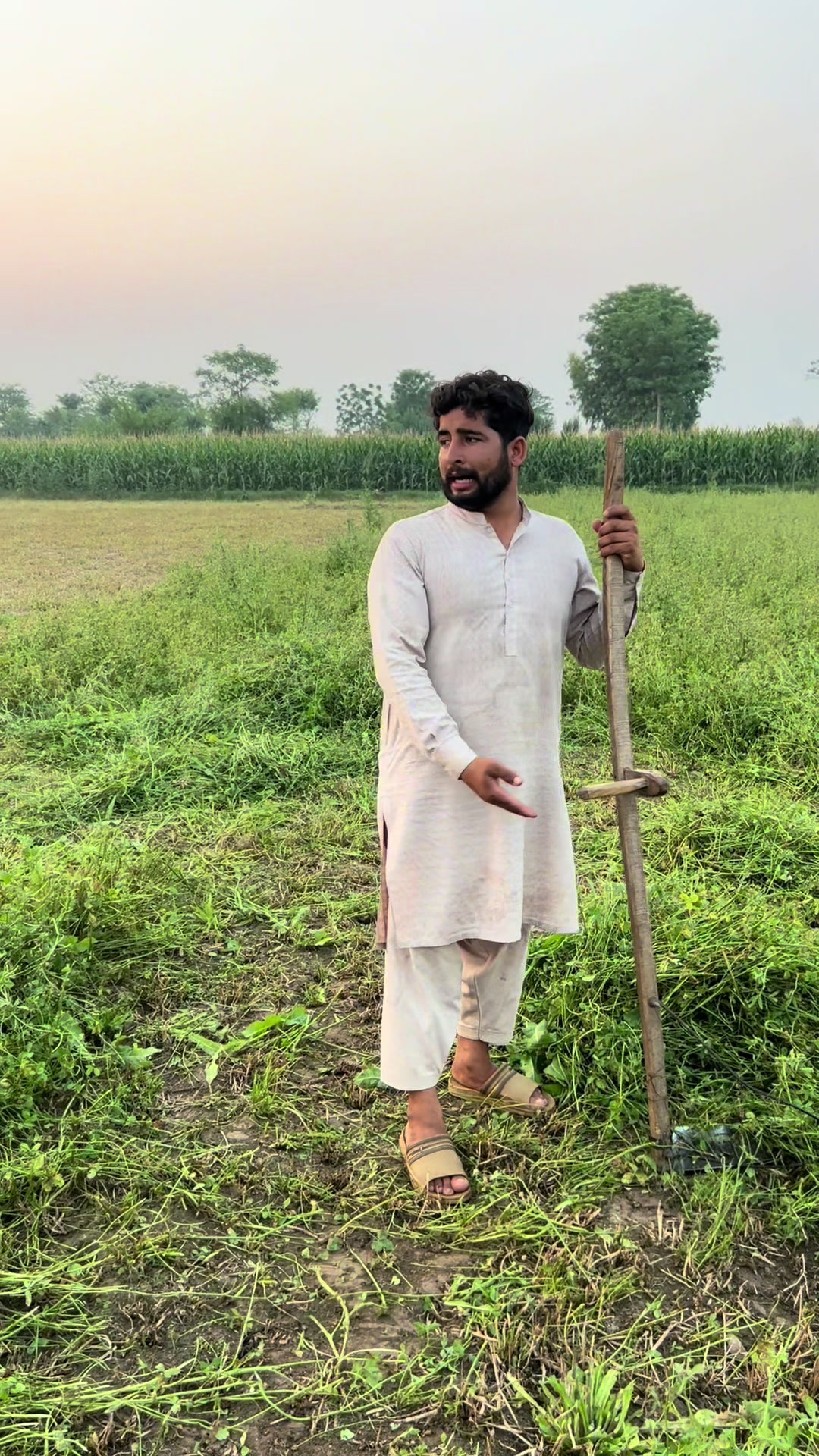 @پینڈو بوائز 378