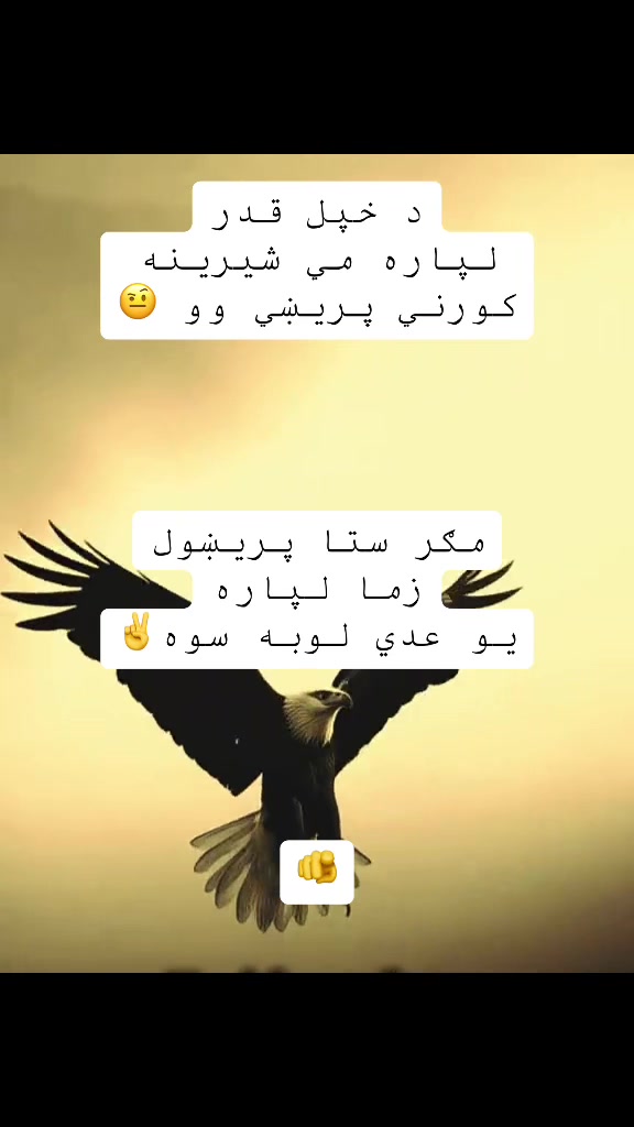 @𝕿𝖍𝖊 𝕽𝖊𝖆𝖑 𝕱𝖆𝖙𝖍𝖊𝖗✌️