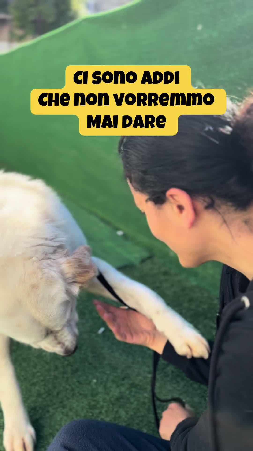 @Solo per amor loro 🐾🐾🐾🐾