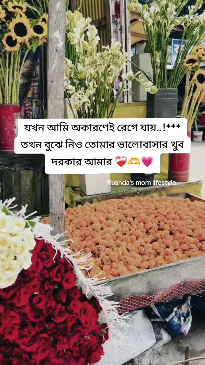 @🇲🇾 রুশদার আম্মু ✈️