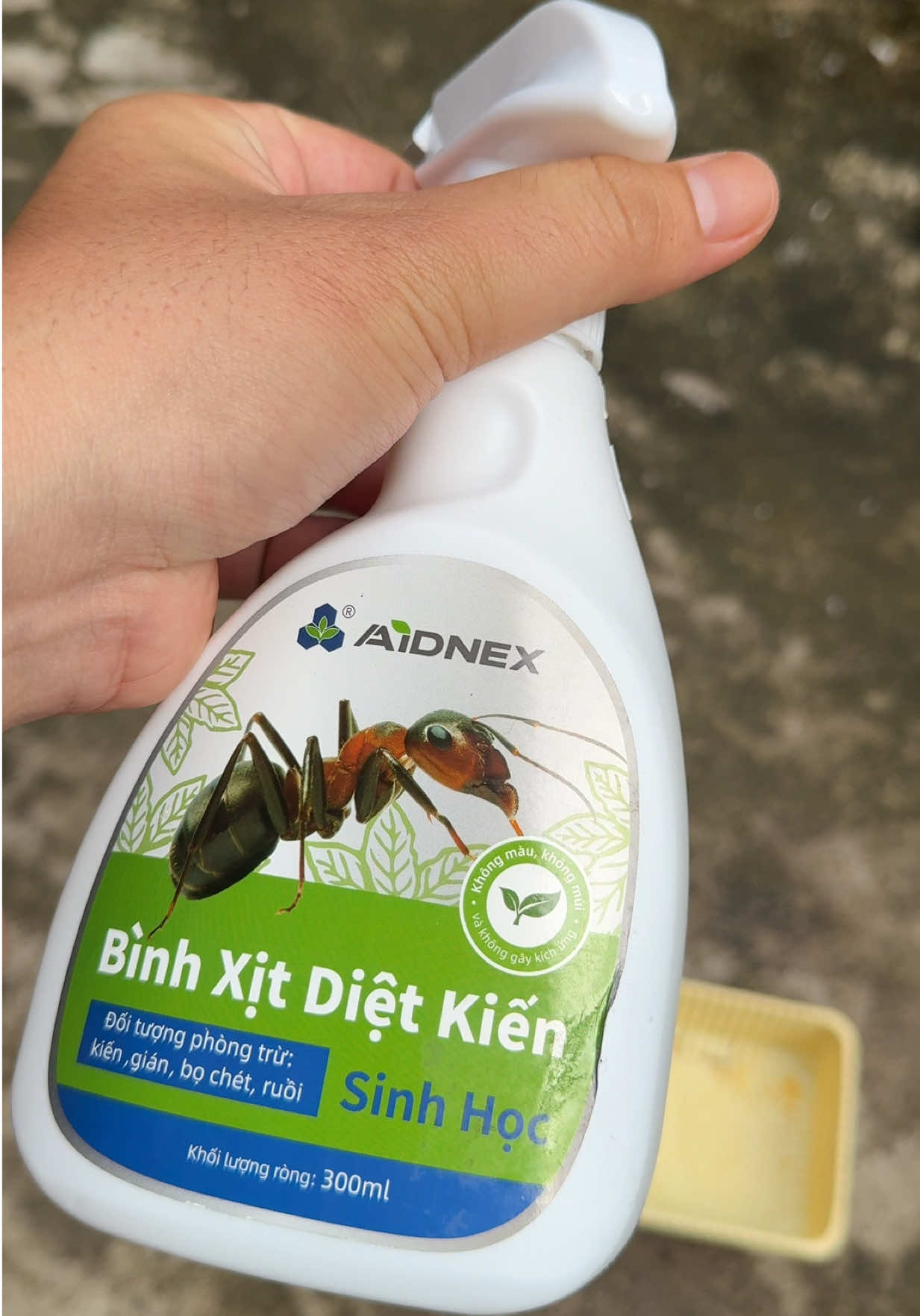 @Trường Hai Ngàn 🐉