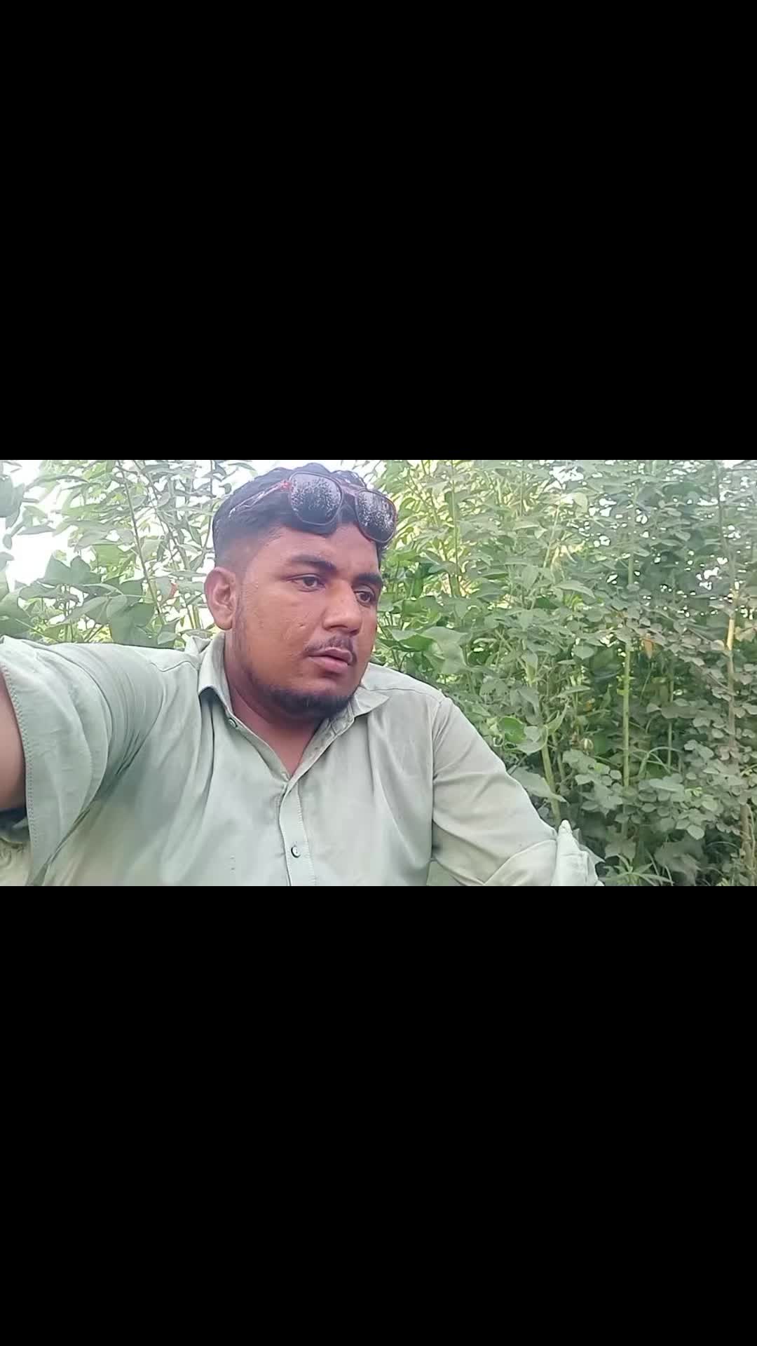 @salmanbrand33